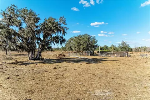 33100 33070 Taylor Grade Rd, Parrish, FL 34219 photo 17