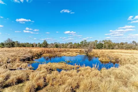 33100 33070 Taylor Grade Rd, Parrish, FL 34219 photo 19