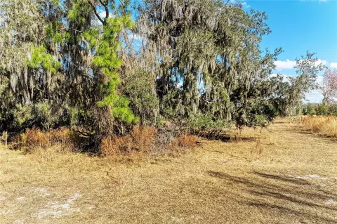 33100 33070 Taylor Grade Rd, Parrish, FL 34219 photo 12