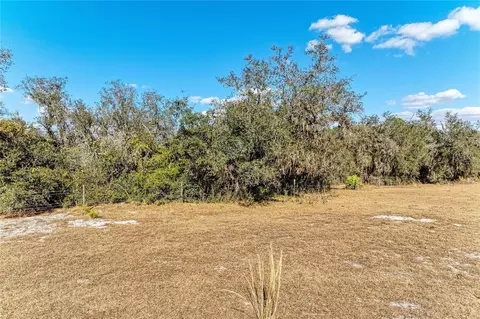 33100 33070 Taylor Grade Rd, Parrish, FL 34219 photo 14