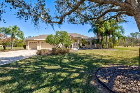 Exterior - 4008 Twin Rivers Trl, Parrish, FL 34219 photo 4 of 21