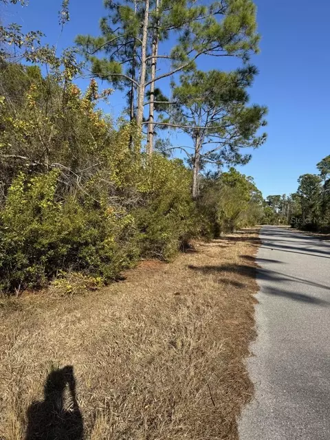 13128 Selzer Ave, Port Charlotte, FL 33953