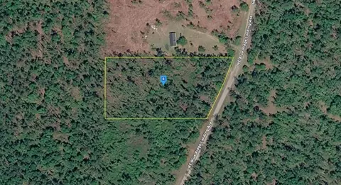 1177 NE Blue Ridge Landing Ave, Lee, FL 32059