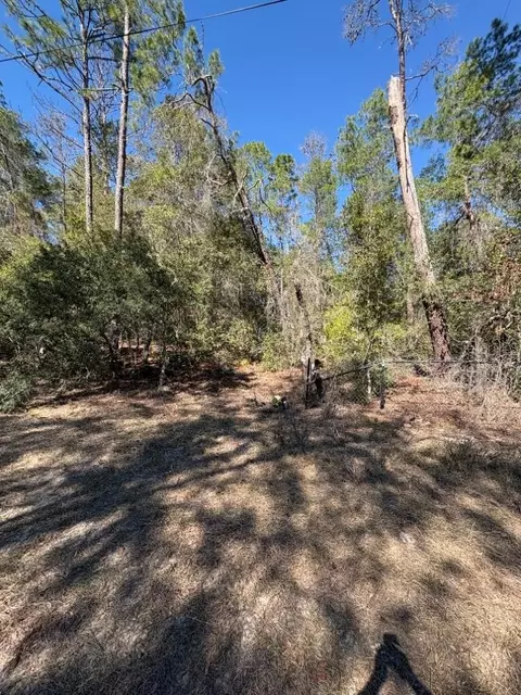 Old Deer Road, Paisley, FL 32767