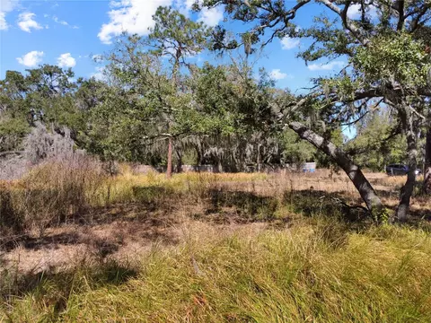 12111 Fred Dr, Riverview, FL 33578 photo 17