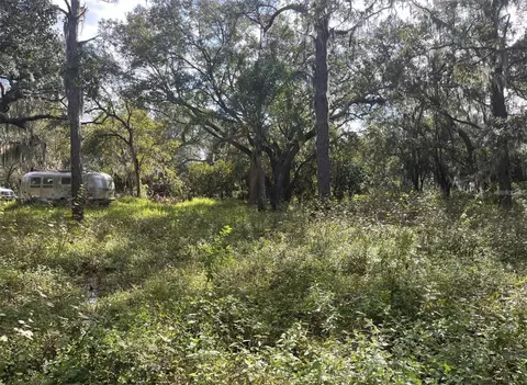 12111 Fred Dr, Riverview, FL 33578 photo 24