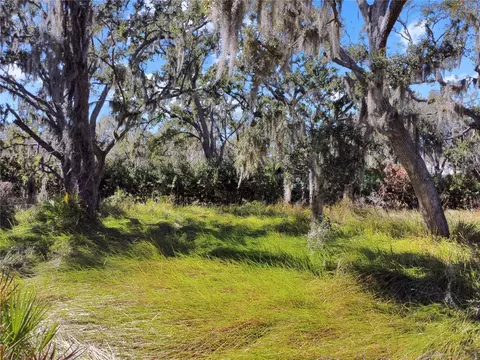 12111 Fred Dr, Riverview, FL 33578 photo 15