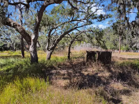 12111 Fred Dr, Riverview, FL 33578 photo 5