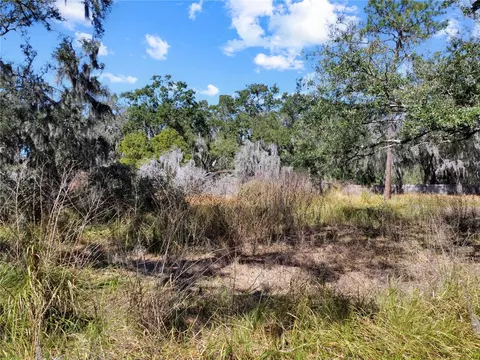 12111 Fred Dr, Riverview, FL 33578 photo 16