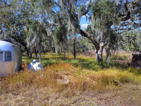 12111 Fred Dr, Riverview, FL 33578 photo 6