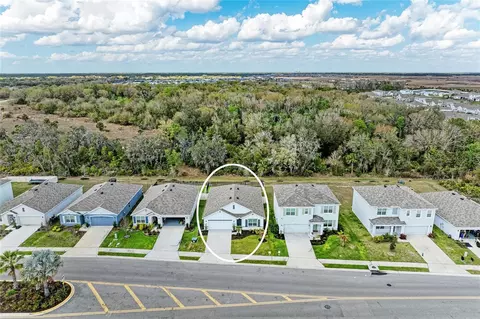 View/Area - 17250 Wheatberry Blvd, Parrish, FL 34219 photo 2 of 9