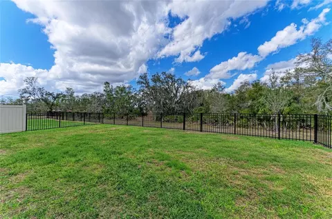 Exterior - 17250 Wheatberry Blvd, Parrish, FL 34219 photo 4 of 9