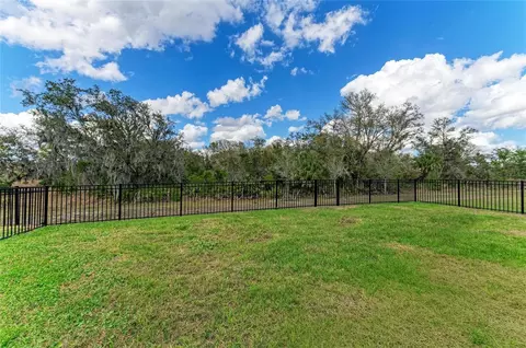 Exterior - 17250 Wheatberry Blvd, Parrish, FL 34219 photo 5 of 9