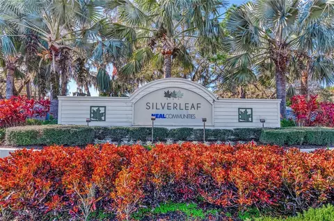View/Area - 10934 Sand Pine Ln, Parrish, FL 34219 photo 3 of 15