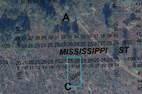 000 Mississippi St, Hawthorne, FL 32640