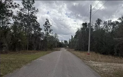 0 NE 16th Pl, Williston, FL 32696 photo 2