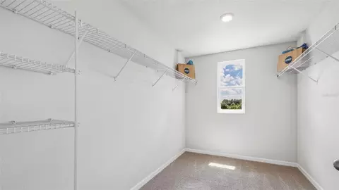 Other - 1841 Hammock Trace Dr, Parrish, FL 34219 photo 4 of 6