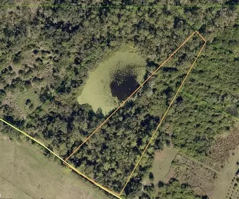 17330 Sorona Rd, Wimauma, FL 33598