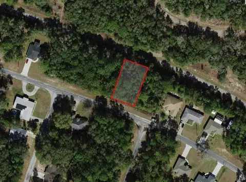 9875 N Sandree Dr, Citrus Springs, FL 34434