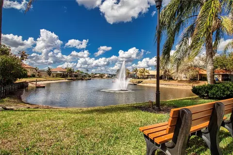 Other - 18048 Java Isle Dr, Tampa, FL 33647 photo 7 of 12