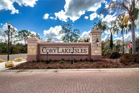 View/Area - 18048 Java Isle Dr, Tampa, FL 33647 photo 5 of 8