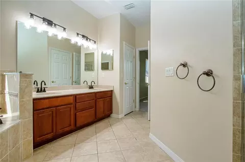 Bath - 18048 Java Isle Dr, Tampa, FL 33647 photo 8 of 14