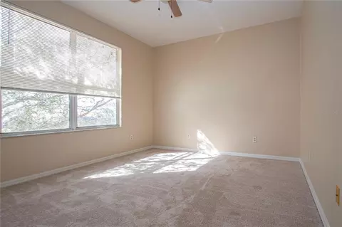 Bedroom - 18048 Java Isle Dr, Tampa, FL 33647 photo 8 of 9