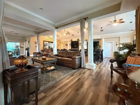 Living - 18048 Java Isle Dr, Tampa, FL 33647 photo 14 of 14