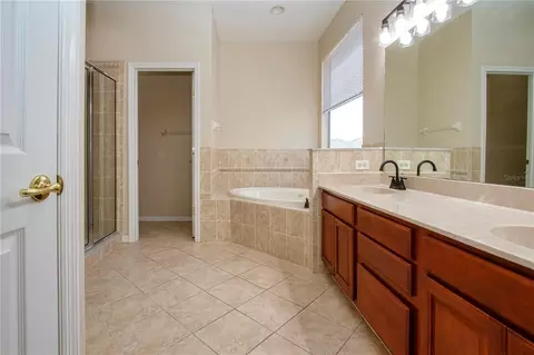 Bath - 18048 Java Isle Dr, Tampa, FL 33647 photo 4 of 14