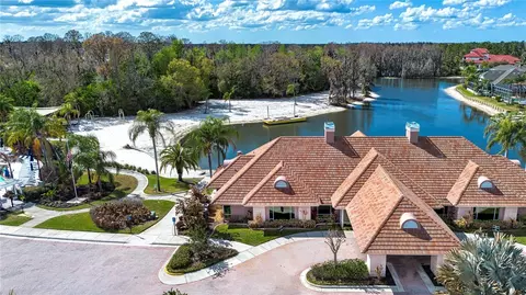View/Area - 18048 Java Isle Dr, Tampa, FL 33647 photo 6 of 8