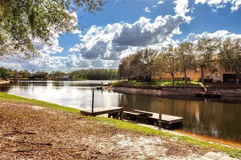 View/Area - 18048 Java Isle Dr, Tampa, FL 33647 photo 3 of 8