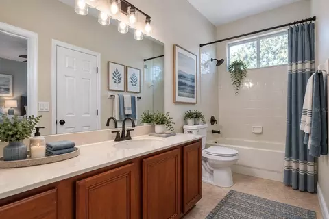 Bath - 18048 Java Isle Dr, Tampa, FL 33647 photo 12 of 14