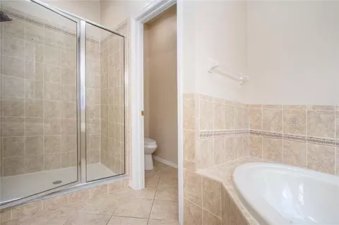 Bath - 18048 Java Isle Dr, Tampa, FL 33647 photo 5 of 11