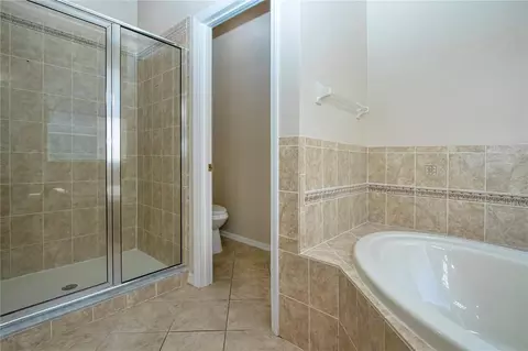 Bath - 18048 Java Isle Dr, Tampa, FL 33647 photo 7 of 14