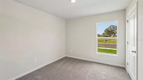 Bedroom - 17906 Wheat Stack Ct, Parrish, FL 34219 photo 4 of 14
