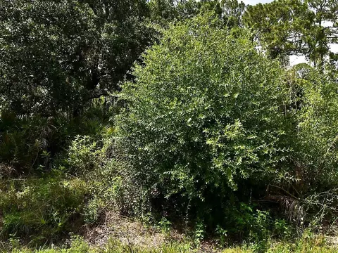 lot16 Rentscher Ave, North Port, FL 34291
