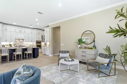 Other - 9213 Sand Dune Cv, Parrish, FL 34219 photo 3 of 15