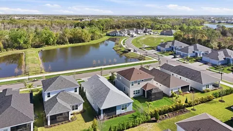 View/Area - 10117 Spruce River Way, Parrish, FL 34219 photo 7 of 22