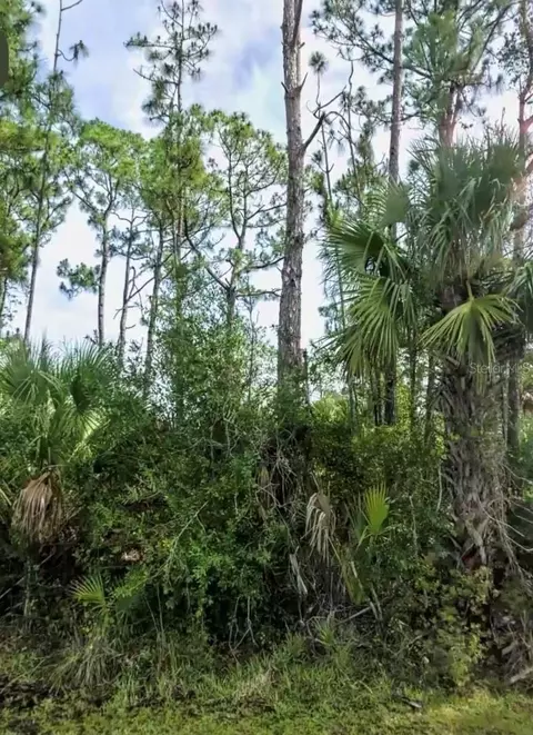 lot17 Donatello Ave, North Port, FL 34286