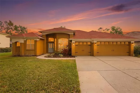 5114 Twin Creeks Dr, Valrico, FL 33596