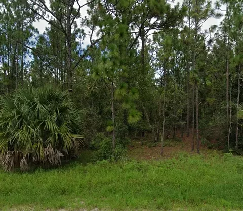 0 Highgrove Rd, Spring Hill, FL 34609
