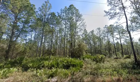 10620 Beckenger Ave, Hastings, FL 32145