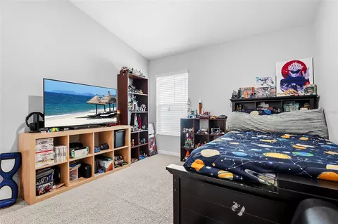 Bedroom - 12824 Bent Twig Dr, Riverview, FL 33579 photo 10 of 11