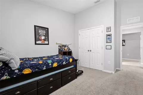 Bedroom - 12824 Bent Twig Dr, Riverview, FL 33579 photo 11 of 11