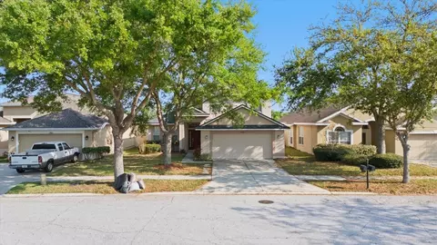 View/Area - 12808 Hampton Hill Dr, Riverview, FL 33578 photo 1 of 11