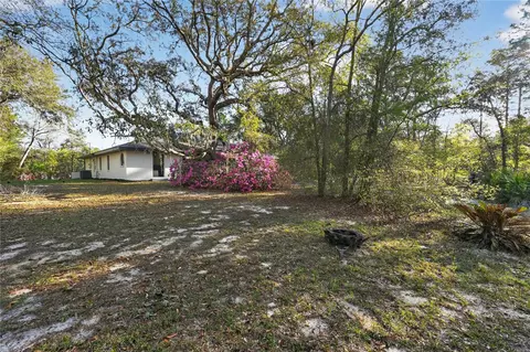 Exterior - 1060 E Rockefeller Ln, Hernando, FL 34442 photo 8 of 10
