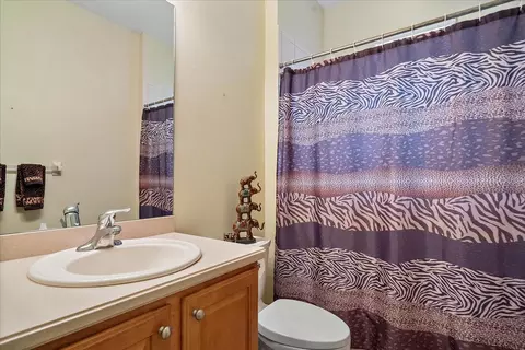 Bath - 11547 52nd Ct E, Parrish, FL 34219 photo 3 of 3
