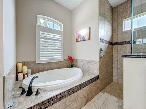 Bath - 15315 37th Ct E, Parrish, FL 34219 photo 4 of 9
