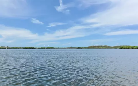 View/Area - 449 Webbs Cv, Osprey, FL 34229 photo 4 of 7
