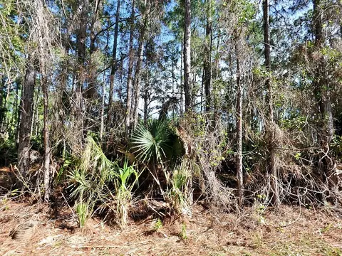 Nagengast Street, North Port, FL 34288